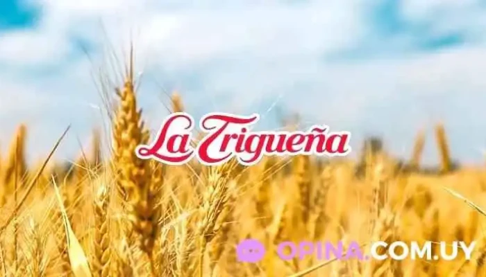 La Trigueña - 15000 Ciudad De La Costa