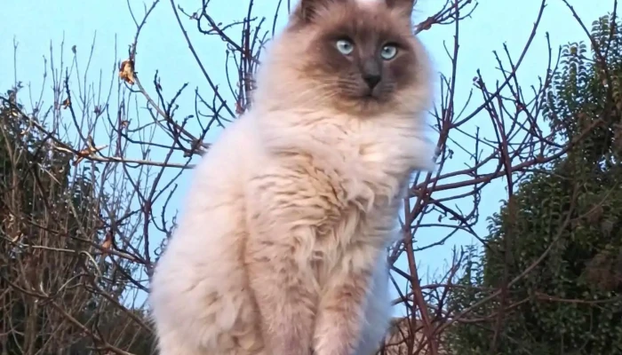 La Yunta Hospital Veterinario - 75100 Dolores