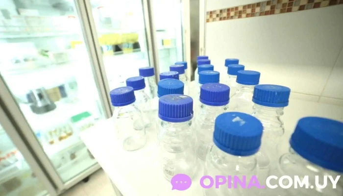 Laboratorio Diez -  Interior - Paysandú