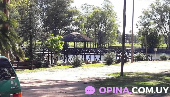 Lago Del Parque - Trinidad