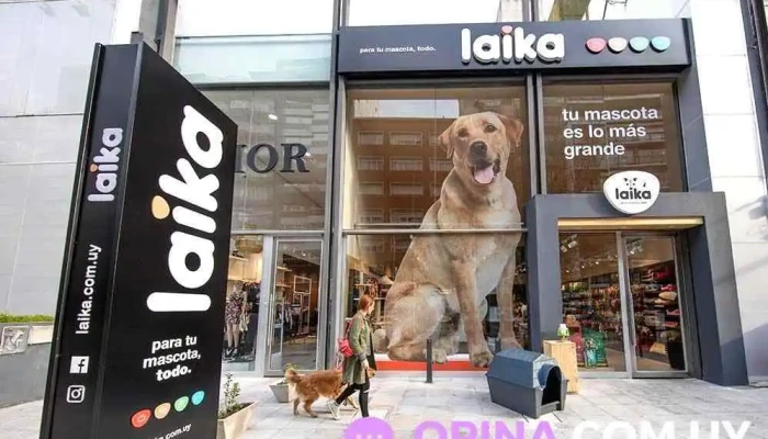 Laika - 11200 Montevideo