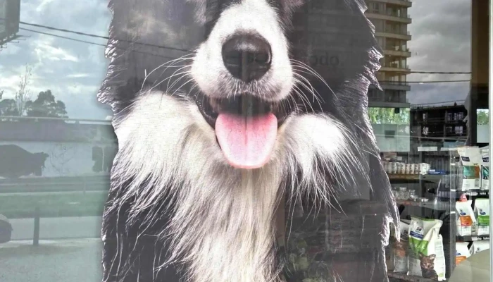 Laika Américas • Barra de Carrasco - 15000 Ciudad De La Costa