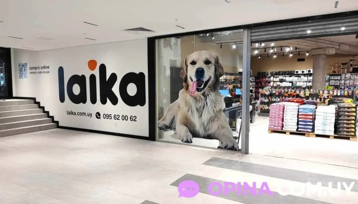 Laika | Atlántico - 20000 Punta Del Este