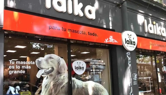 Laika Cordón - 11300 Montevideo