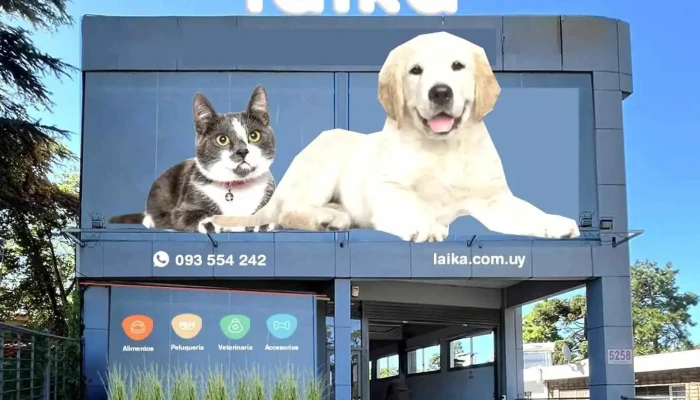 Laika Italia - 11400 Montevideo