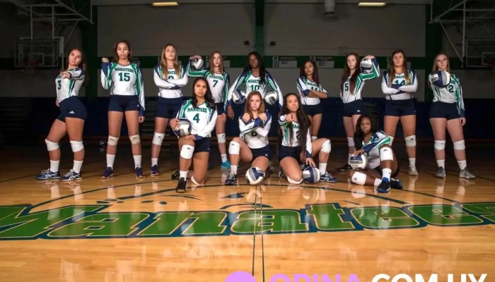 Language Technology Institute -  Del Propietario - Montevideo