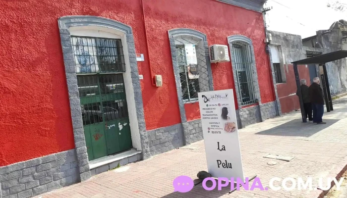 Lapelu Tff Media - 11900 Montevideo