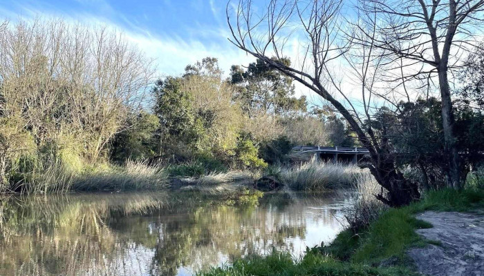 Las brujas - Ruta 49