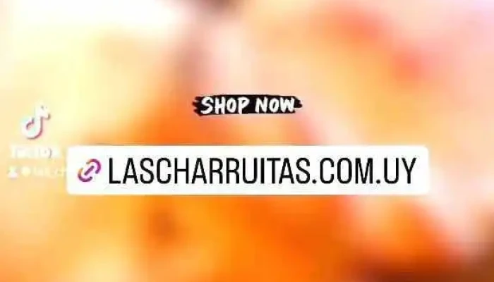 Las Charruitas Empanadas Gourmet:  Del Propietario