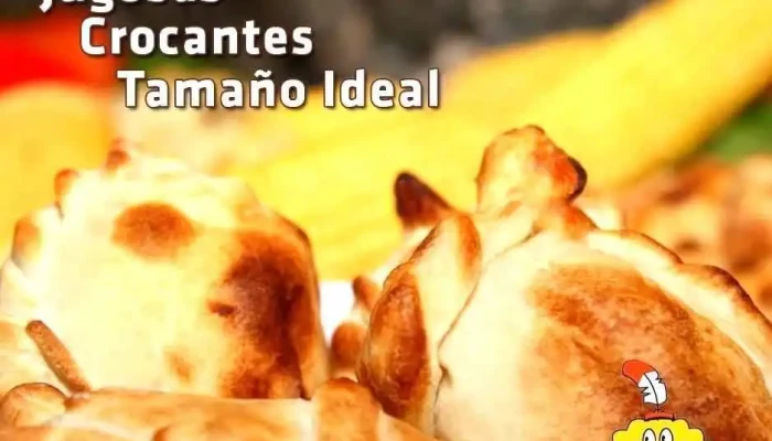 Las Charruitas Empanadas Gourmet:  Empanada