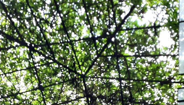 Las Glicinas Boutique Apartments -  Cerca De Mi - Col. del Sacramento