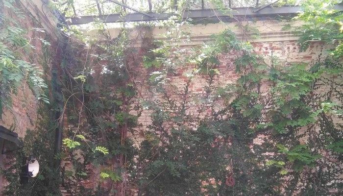 Las Glicinas Boutique Apartments -  Fotos - Col. del Sacramento