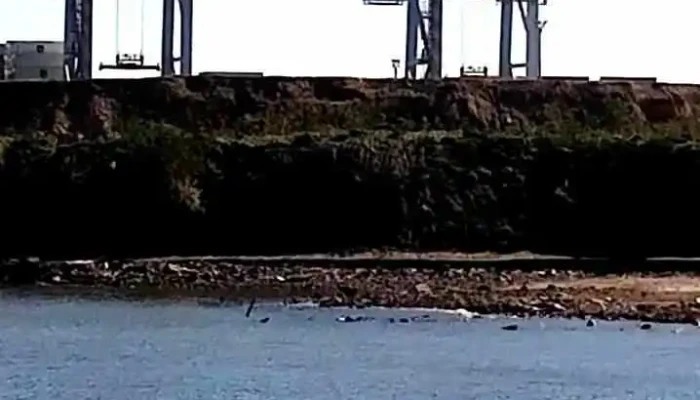 Las Piedras -  Videos - 18 de Mayo