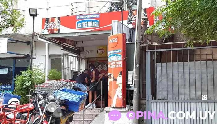 Las Tres Niñas Ii - 11300 Montevideo