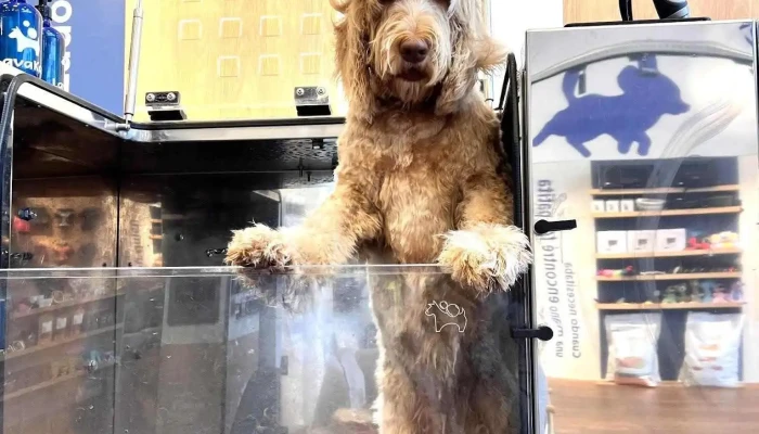 Lavakan - 20000 Punta Del Este