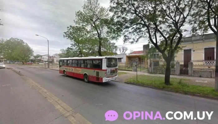 Lema Cerrajería - Cno. Maldonado 5267