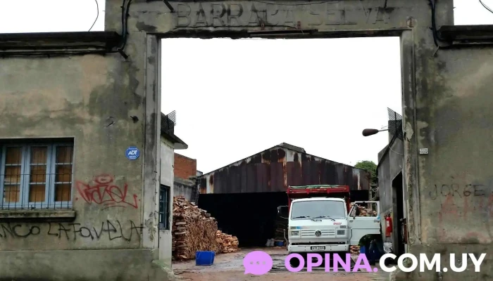 Leñera Selva - Montevideo