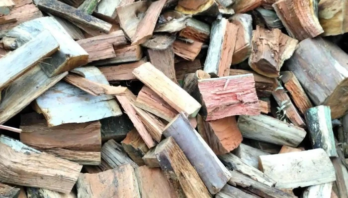 Leñeria Paysandu - 60000 Paysandú