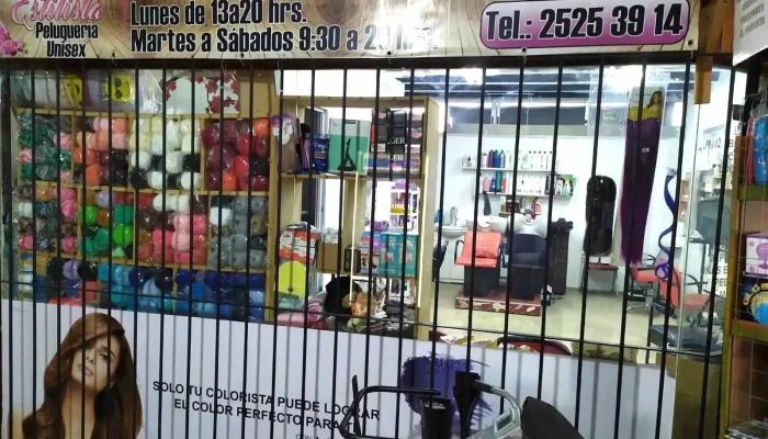 Leticia Estilista - 11400 Montevideo