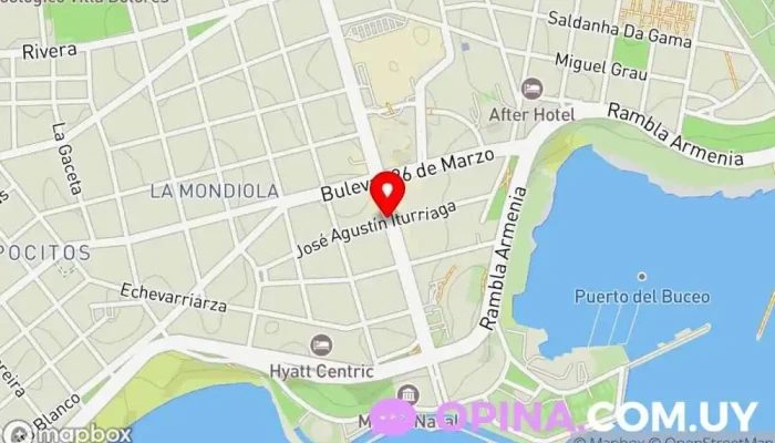 Leticia Vecino Propiedades - Montevideo