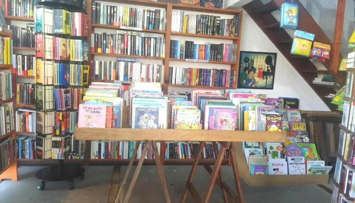 Libreria La Paloma Mensajera -  Libro - La Paloma