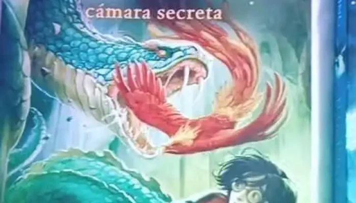 Libreria Libros Angel Del Propietario - Montevideo