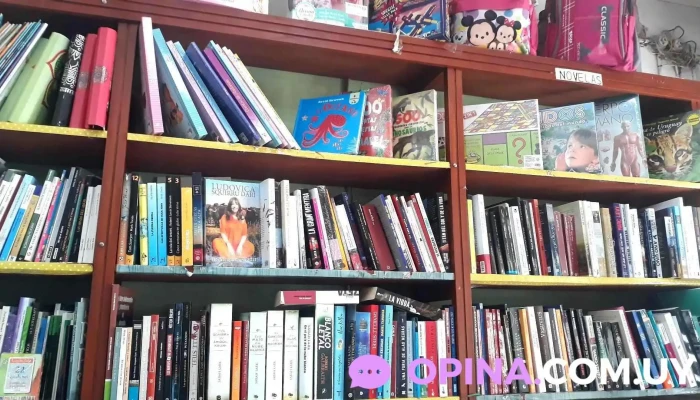 Libreria Y Papeleria Bastos -  Estante De Libros - Dolores