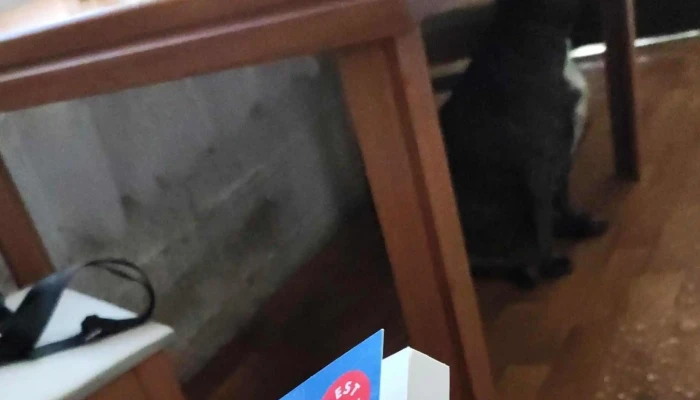 Libros Del Paso -  Precios - Montevideo