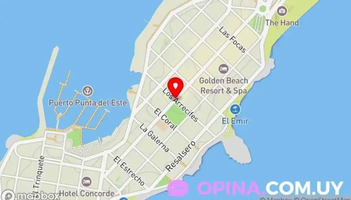 mapa de Lic. Patricia Bareño Osteópata, Fisioterapeuta en Punta del Este