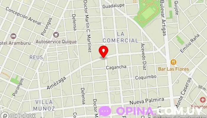 mapa de Lic Psic: Flor Del Alba Dapueto / Consultorio 