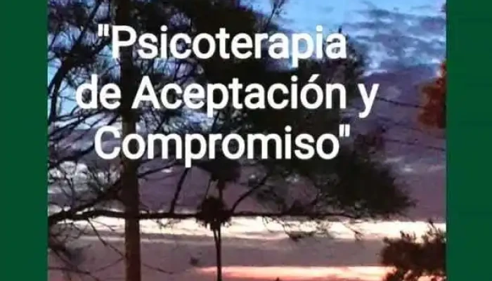 Lic Psic Flor Del Alba Dapueto Consultorio Creser Videos - Montevideo