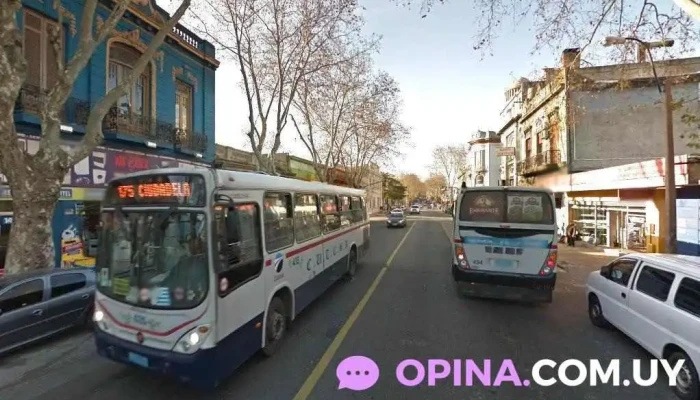 Lic. Psic. Oyonara Flores - Montevideo