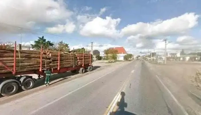 Liceo Micaela Drovandi -  Videos - José Enrique Rodó