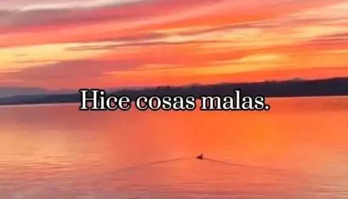 Liceo No 6 Ceibal Videos - Salto