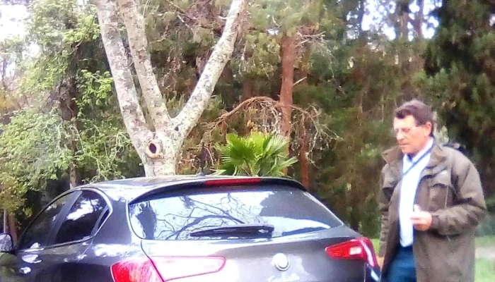 Lo De Luna -  Videos - San Jacinto