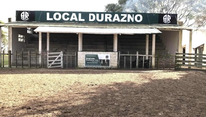 Local Andrade - Homero Andrade