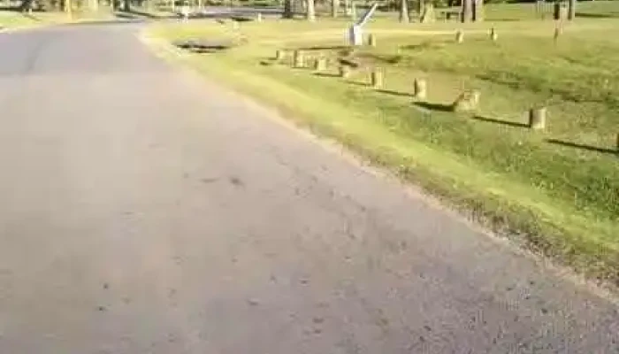 Lomas De La Tahona -  Videos - Gral. Líber Seregni