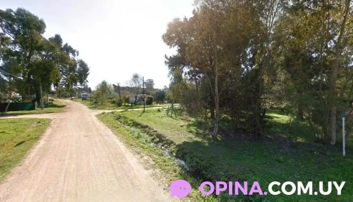 Los Conde Montejo - La Paloma