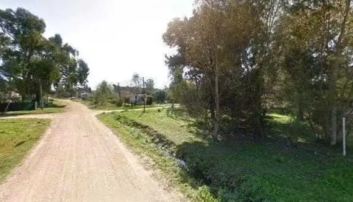 Los Conde Montejo -  Videos - La Paloma