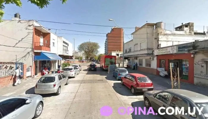 Los Conejitos del Bosque - Montevideo