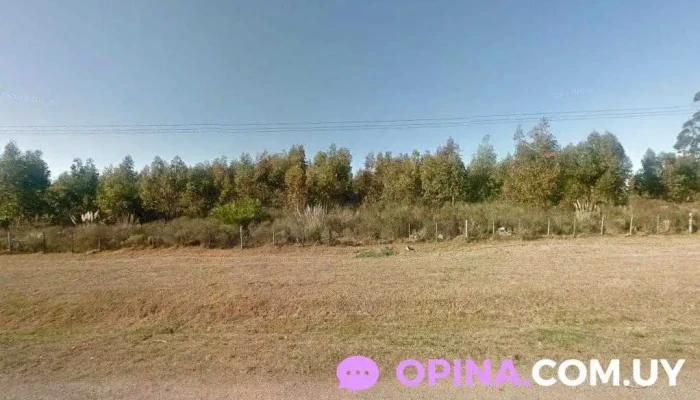 Los Pinos - Ruta Gral. Líber Seregni