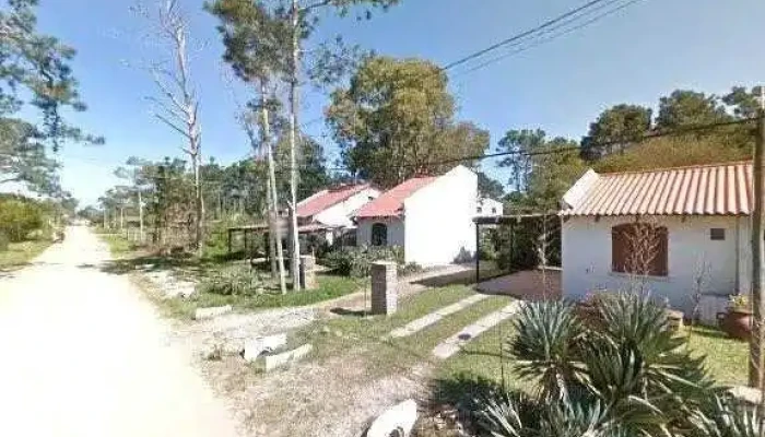 Lunas Del Bosque -  Catalogodeg - La Paloma