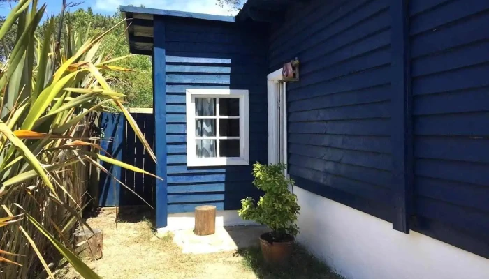 Lunas del Bosque - La Paloma