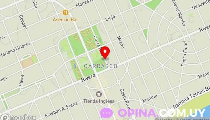 mapa de Lupa Real Estate Agencia inmobiliaria en Montevideo