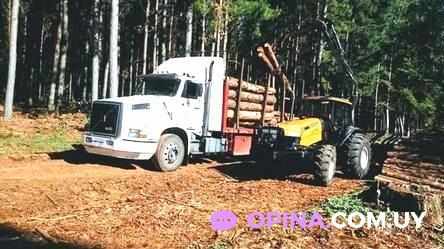 Maderas Morgavi Tranqueras - De Paiva Olivera