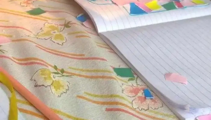 Maestra Particular -    Clases Particulares De Primaria Y Apoyo En Ciclo Basico Del Propietario - Montevideo