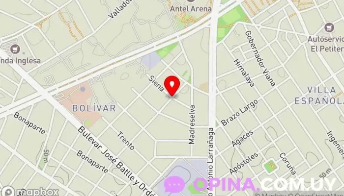 mapa de Maestra particular - Clases particulares de primaria y apoyo en ciclo básico Educación mixta en Montevideo