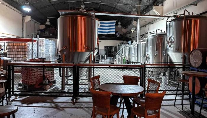 Malafama -  Todo - Montevideo