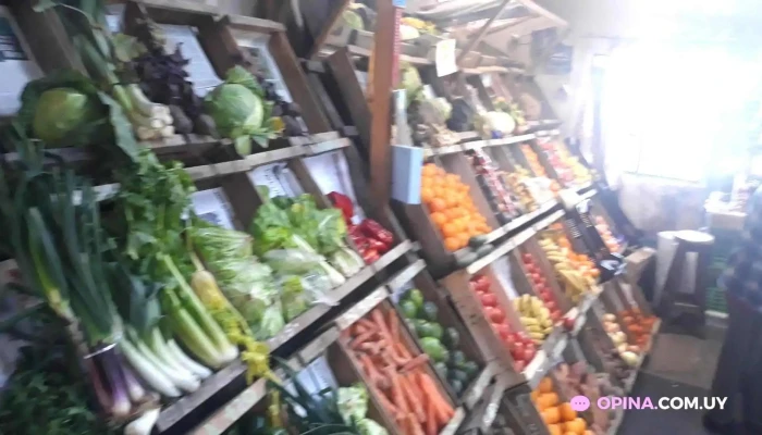 Malema Market:  Interior - Supermercado