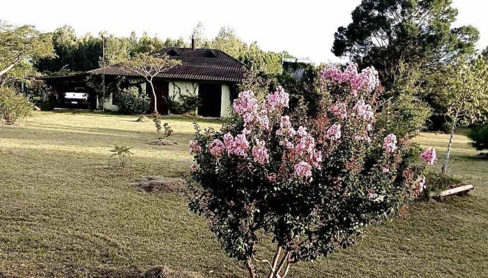 Manota Casa de Campo deleita tus sentidos - 33000 Treinta Y Tres